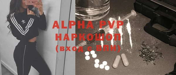 стаф Покачи
