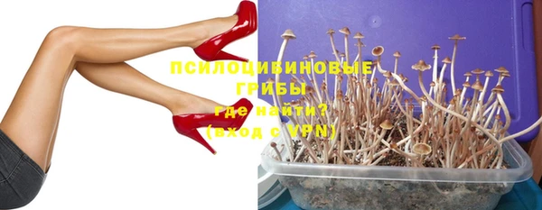 стаф Покачи