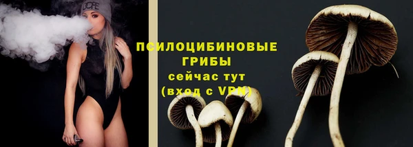 мдпв Покров