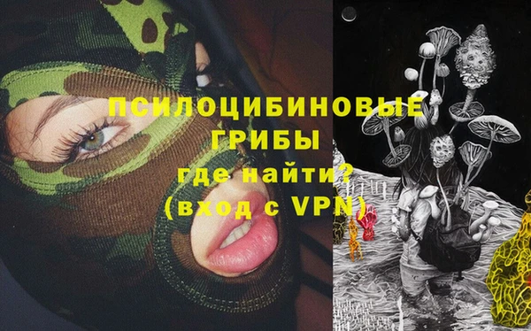 стаф Покачи