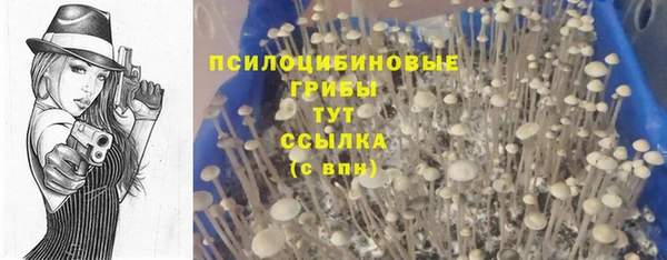 мдпв Покров