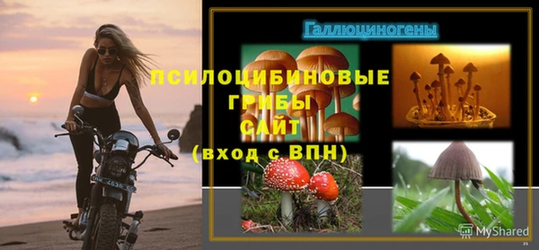 мдпв Покров